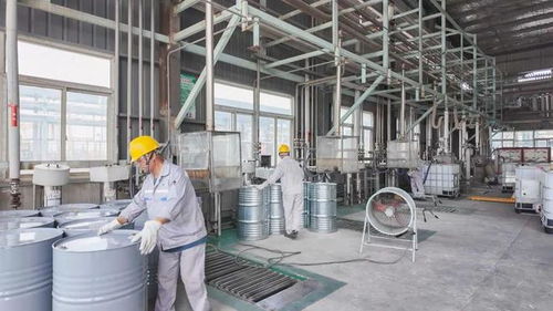 年产34800吨日用百货改扩建项目9月试生产，助推滨海产业升级